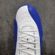 Air Jordan 12 AJ12 BlueBerry Men's Basketball Shoes CT8013-140