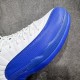 Air Jordan 12 AJ12 BlueBerry Men's Basketball Shoes CT8013-140