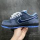 Nike Dunk Low Premium SB 'Blue Lobster' Men's & Women's Sneakers 313170-342