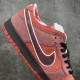 Nike SB Dunk Low Concepts Red Lobster Men's & Women's Sneakers 313170-661