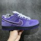 Nike SB Dunk Low Concepts Purple Lobster Men's and Women's Sneakers BV1310-555