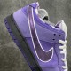 Nike SB Dunk Low Concepts Purple Lobster Men's and Women's Sneakers BV1310-555