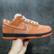 Nike SB Dunk Low Concepts Orange Lobster Men's & Women's Sneakers FD8776-800